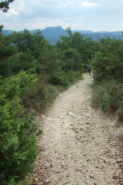 2011-05- (1421).JPG - La Roche Colombe (886 m) im Forêt de Saou